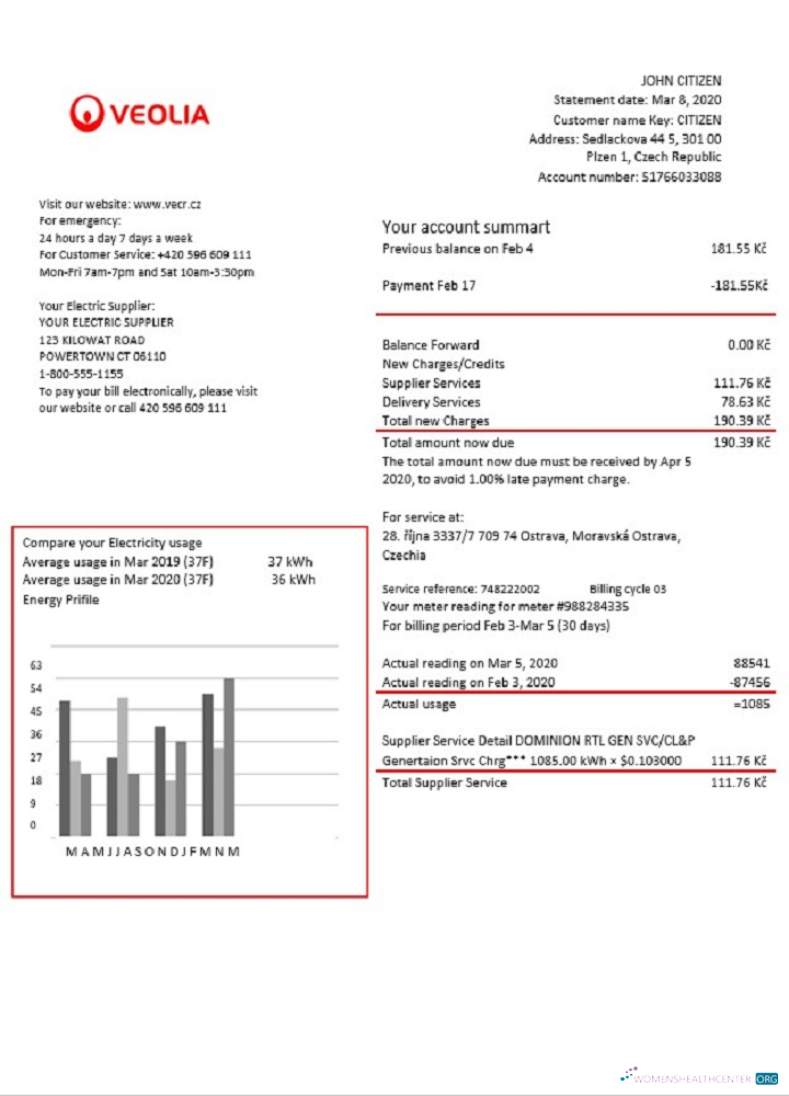download download Czechia Veolia Energy Czech Republic energy utility bill